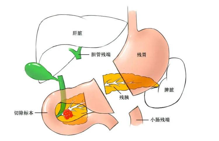 微信图片_20240415090712.png